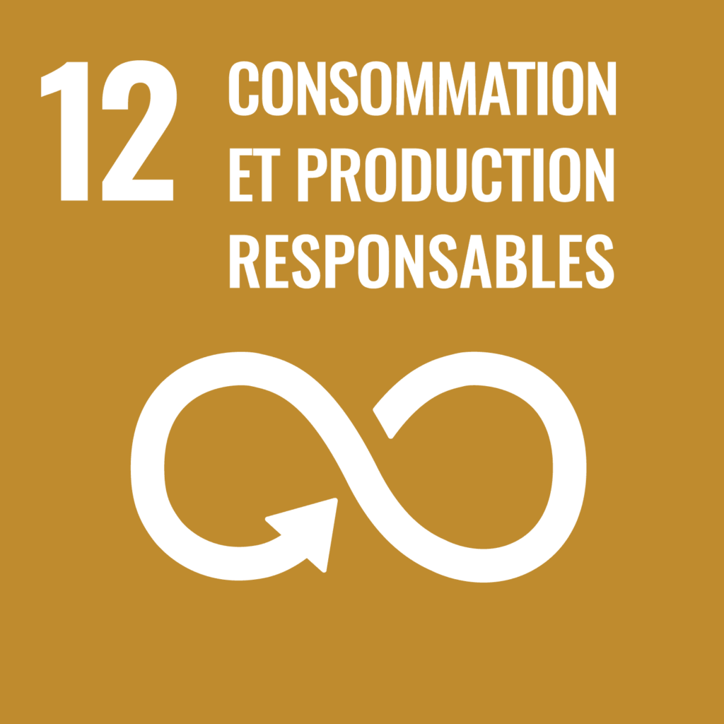 ODD - Consommation et production responsables