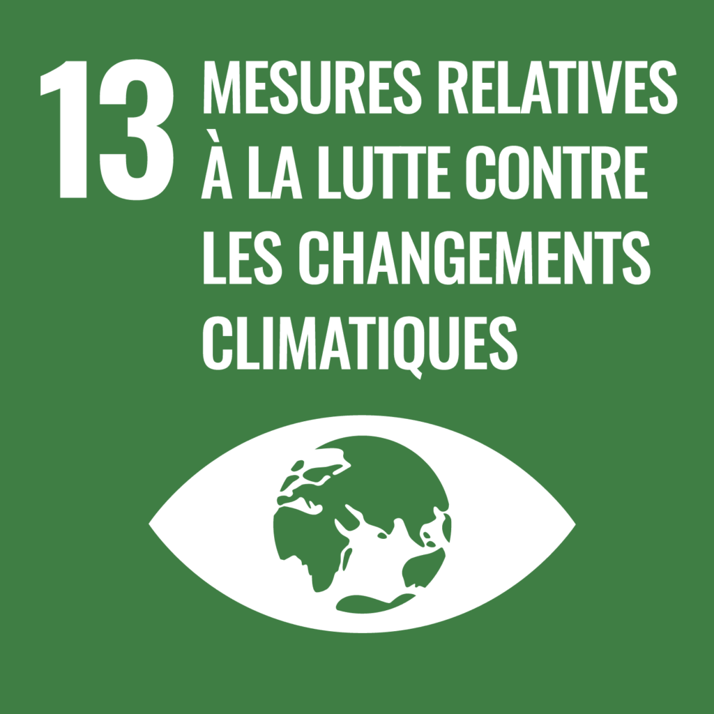 ODD - Changements climatiques