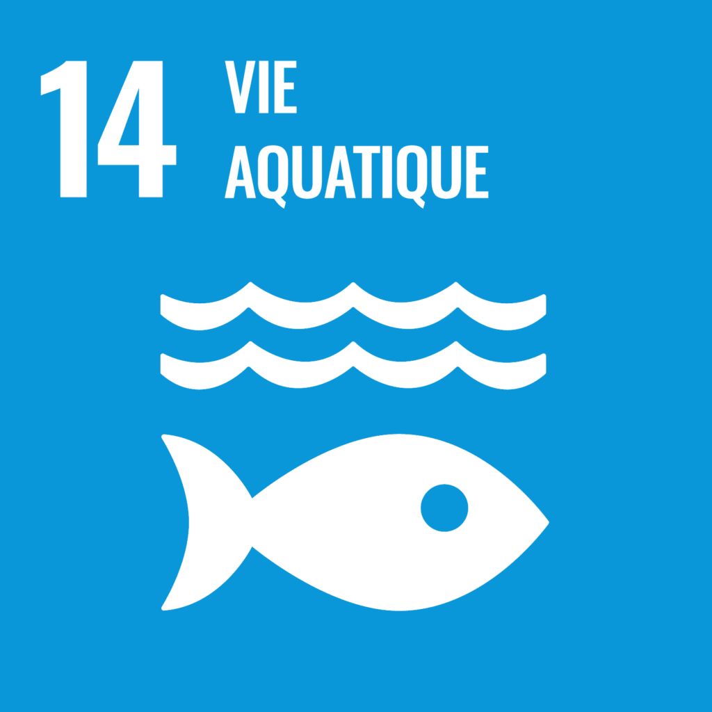 ODD - Vie aquatique