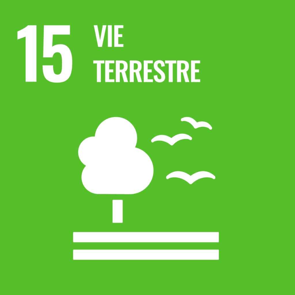 ODD - Vie terrestre